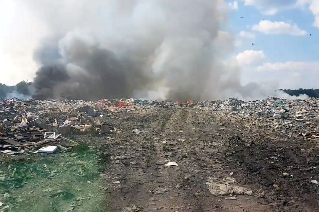 Ликвидацию возгорания в Тобольске контролирует экологическое объединение