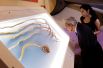 Обладатель самых длинных ногтей в мире Шридар Чиллал  из Индии срезал их после 66 лет отращивания. Пять его ногтей теперь можно увидеть в музее Рипли «Верьте или нет», Нью-Йорк, США.