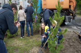 Более сотни деревьев посадят в Новом Уренгое взамен спиленных