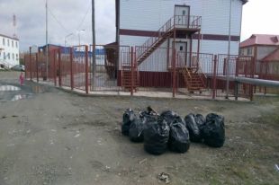 Пока в Салехарде одни убирают, другие - мусорят