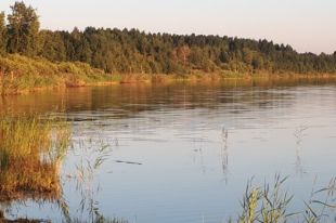 В Утином пруду утонул нетрезвый мужчина