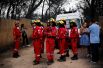 Спасатели в районе Мати, где были найдены тела погибших в результате лесного пожара.