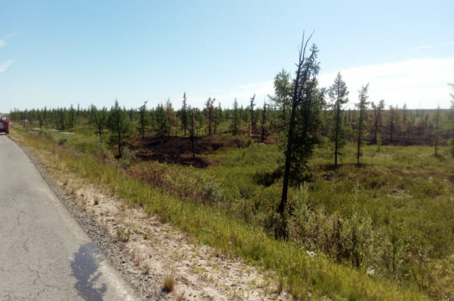  На Ямале природных пожаров меньше, чем в прошлом году