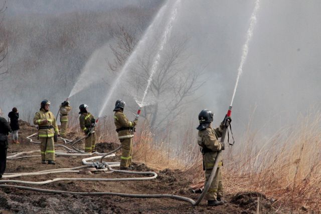 В горящих лесах порядок наводят тоже пожарные.