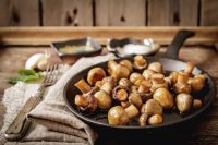 Какая польза от грибов витамины