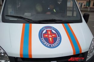 Спасённую собаку передали владельцам.