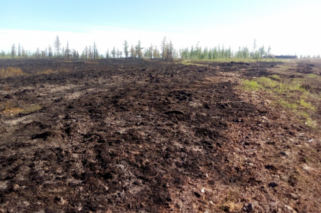 На Ямале пожары полыхали на 133 гектарах леса