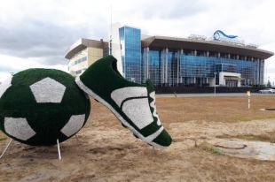 В Новом Уренгое появился футбольный топиарий