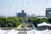 В небо над Мемориальным парком мира выпустили голубей.