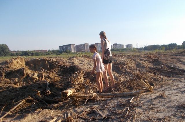 Под благородным предлогом - строительство жилья - в Ростове вырубили деревья и кустарники на площади уже 37 гектаров.