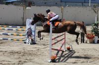Молодые любители конного спорта из Приморья прошли дистанцию от местного первенства до Кубка России.