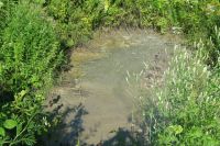Безымянный ручей, протекающий по территории города Бежецка и являющийся притоком реки Остречина