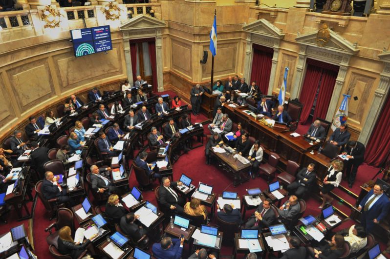 Сенат Аргентины во время рассмотрения законопроекта. В июне обсуждение предложения в нижней палате заняло 22 часа, и оно было утверждено незначительным большинством голосов.