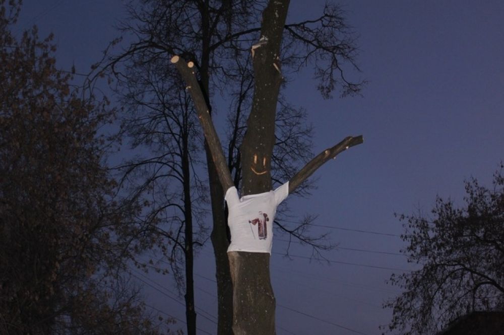 Футболка на дереве.