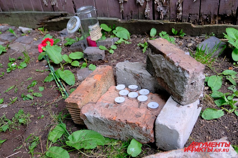 К портрету Шевчука в память об Александре Жунёве пермяки несут цветы и свечи.