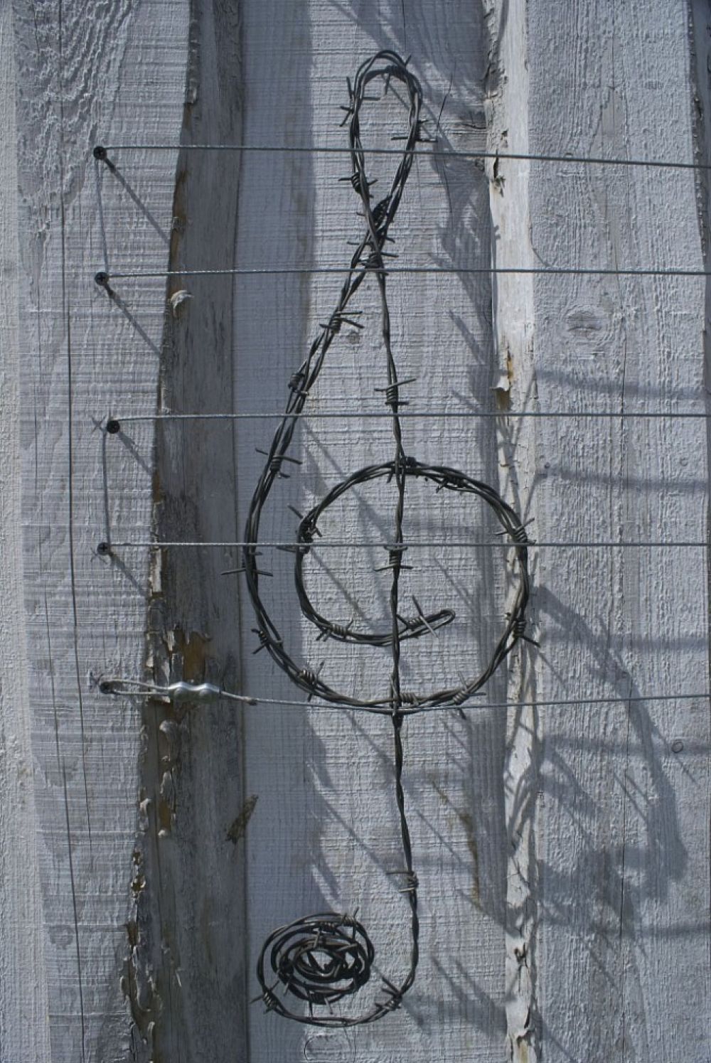 Колючий гимн на Пилораме. 2010 год.
