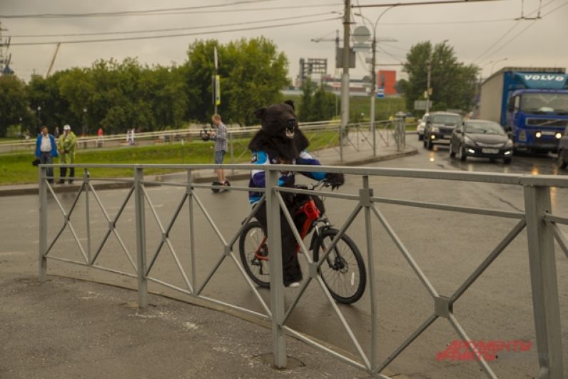 Отправился в велопробег даже косматый мишка.