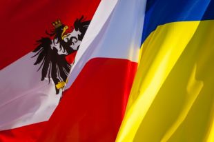 В Австрии расследуют незаконные поставки леса из Украины в Европу