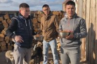 Молодежь Ямальского района призывает наполнить миску бездомным животным