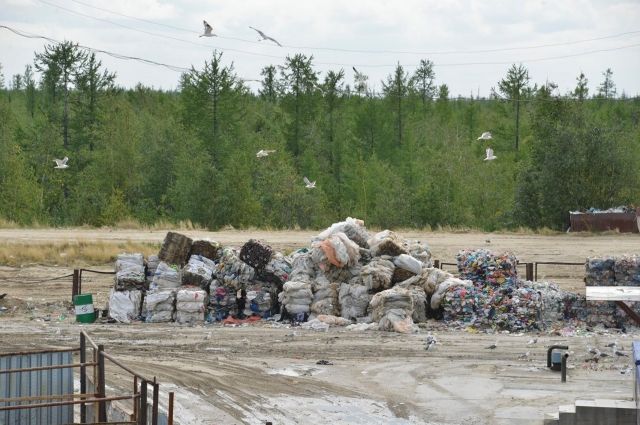 Новоуренгойцы ждут строительства мусоросортировочного завода