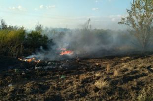 В Оренбурге потушено возгорание сухой травы на площади 2 га.