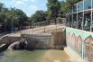 Слониха Чани принимает ванну под взорами посетителей сафари-парка.