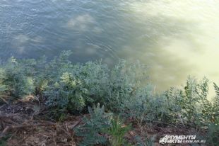 В Оренбурге у очистных сооружений найдено тело мужчины.