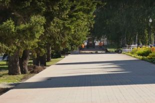Аллея на ул. Молодежной в Барнауле