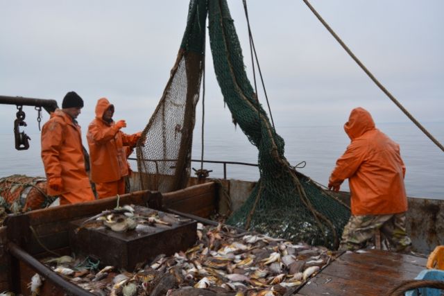Труд рыбаков Приморья важен для всей России.