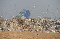Экологи уверены, что регионам нужно объединиться в решении «мусорной темы». 