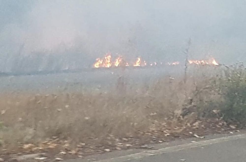Фото пожаров возле КПП на Донбассе.