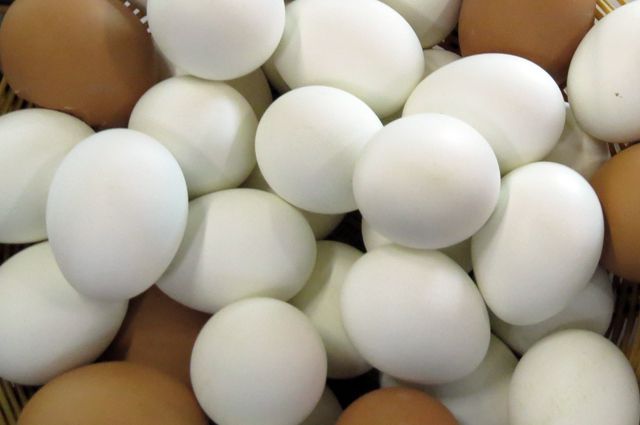 Специалисты оценивают массу, форму и внутреннее содержание яиц.