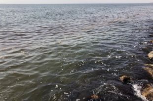 Отдыхающие бьют тревогу - под Одессой в море нашли неизвестные пятна