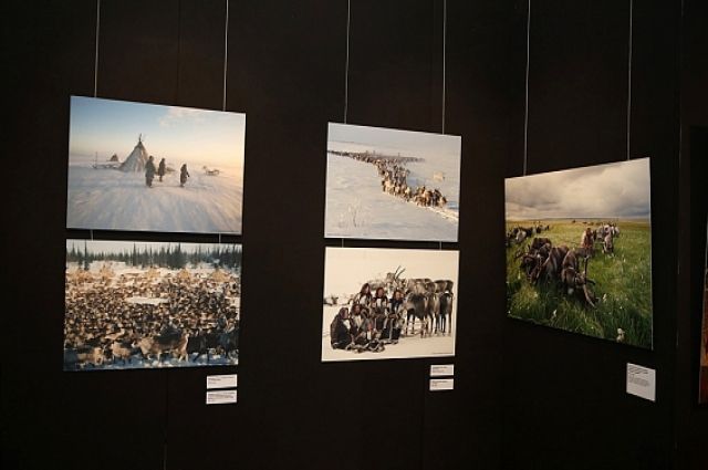 В Москве открылась фотовыставка Брайана Александера о жизни на Ямале