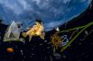 Саргассовый морской клоун плывет среди мусора у архипелага Раджа-Ампат в Тихом океане.