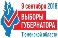 Северные студенты участвуют в выборах губернатора Тюменской области