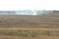 Оренбургскую область атакуют степные пожары.