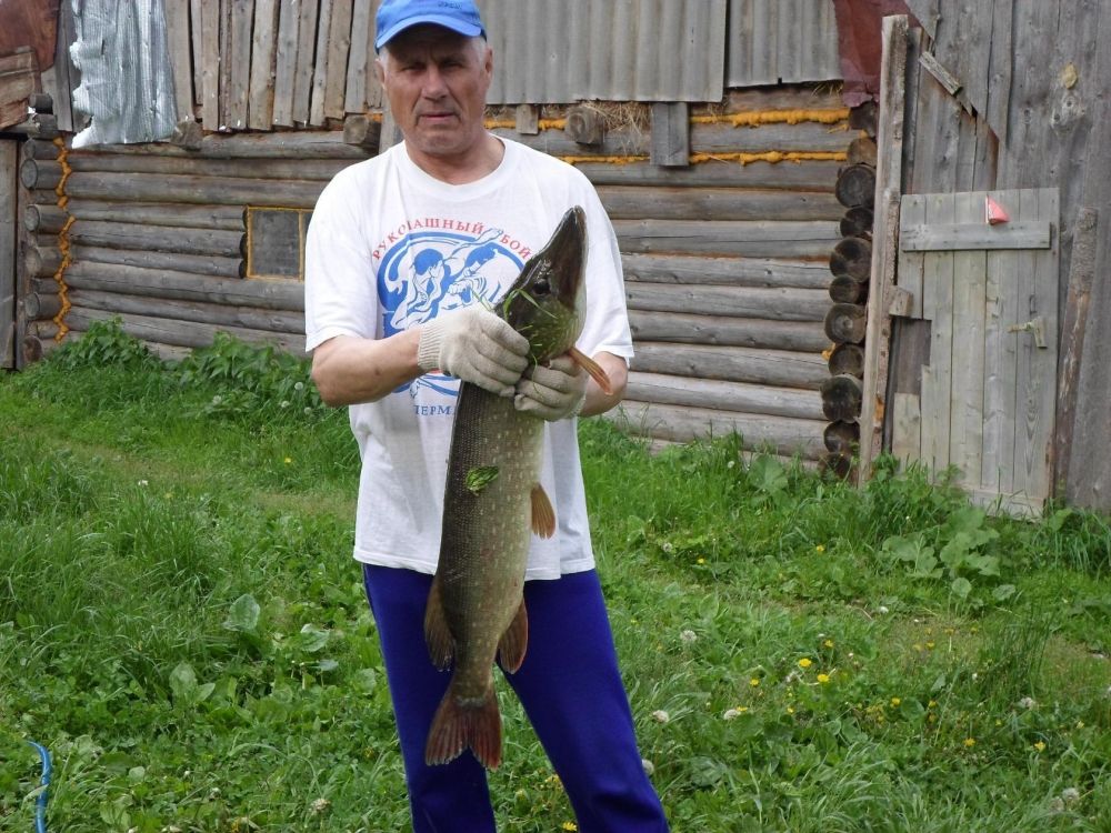 12. Сергей Леушканов. Рыба поймана мной в пруду села Шулынды Сивинского района в начале июня 2018 года. Вес щуки 4 кг. 800 грамм.
