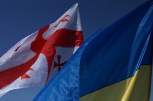 Украина и Грузия договорились совместно бороться с «ворами в законе»