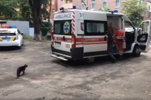 В Киеве неизвестный стрелял по прохожим во дворе дома: есть раненая