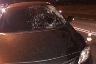 В Харькове школьник попал под колеса автомобиля: мальчик скончался