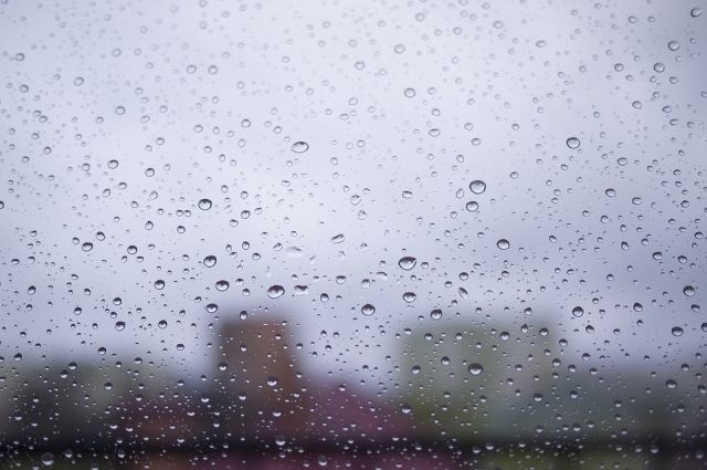 С 17 сентября тюменцев ждет умеренно теплая неделя с дождями
