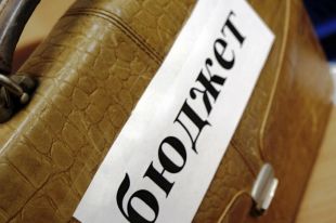 Депутат Рады назвал три главных направления расходов бюджета в 2019 году