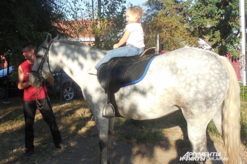 Все дети могли бесплатно покататься на лошадке.