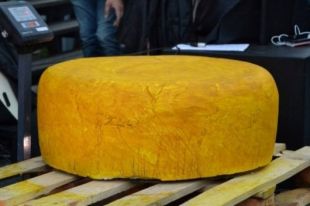 В Черновцах изготовили самый большой в Украине сыр