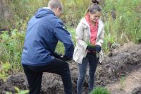Первокурсники факультета экологии ЧелГУ откликнулись на призыв посадить деревья.