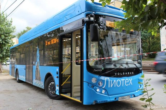 В Перми неоднократно тестировали новый транспорт: по городу курсировал экобус и троллейбус с автономным ходом.