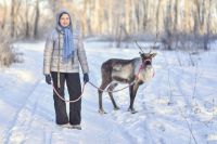 Снежку очень ждут дома. 