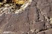 Уникальное изображение человека с телом в форме огурца выбито на Висячем камне. Публикуется впервые.
