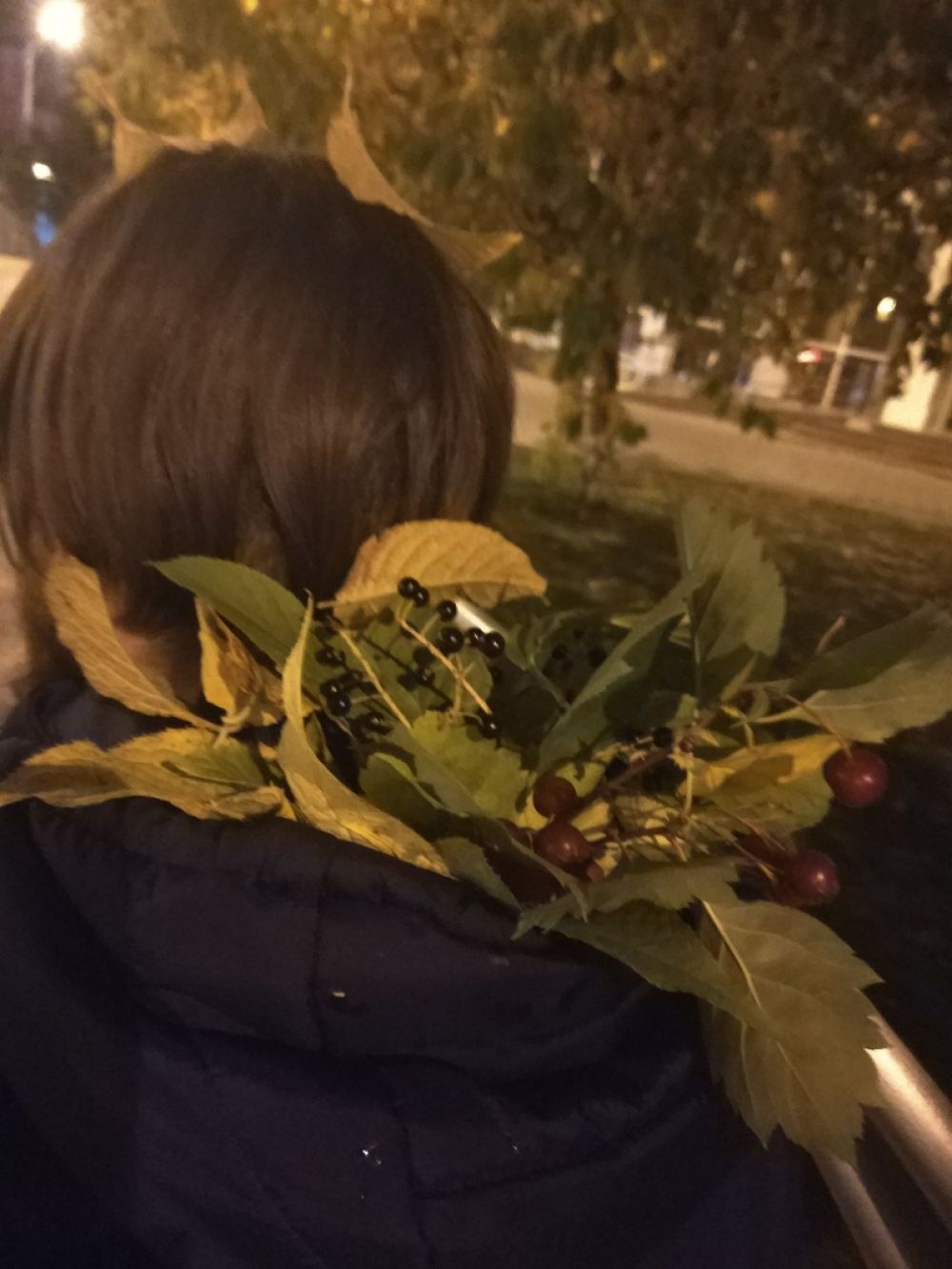 Осенние ягоды.